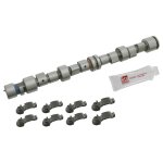 Febi Bilstein Camshaft Kit 24549