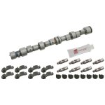 Febi Bilstein Camshaft Kit 24550