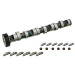 Febi Bilstein Camshaft Kit 29918