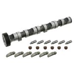 Febi Bilstein Camshaft Kit 29922
