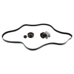 Febi Bilstein Auxiliary Belt Kit 30418