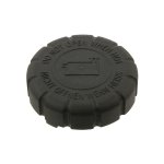 Febi Bilstein Cap 30533