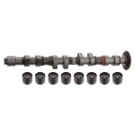 Febi Bilstein Camshaft Kit 33199