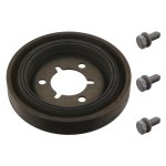 Febi Bilstein TVD Pulley 36420