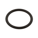 Febi Bilstein Sealing Ring 39732