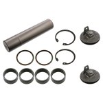 Febi Bilstein King Pin Set 40799