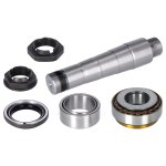 Febi Bilstein King Pin Set 40891