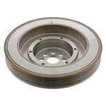 Febi Bilstein Vibration Damper 46420
