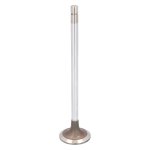 Febi Bilstein Inlet Valve 185015