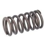 Febi Bilstein Valve Spring 187750