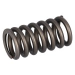 Febi Bilstein Valve Spring 187756