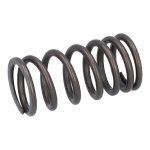 Febi Bilstein Valve Spring 187757