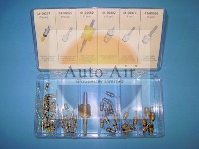 Coolzone Valve Core Kit