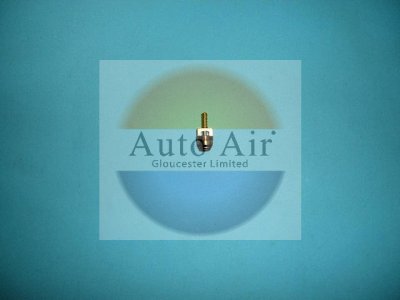 Coolzone Eaton Valve Core M10