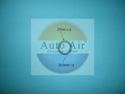 Coolzone Gm A6 O Ring