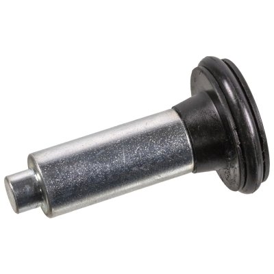 Febi Bilstein Pulley 179504