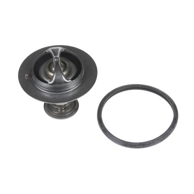 Blueprint Thermostat ADG09221
