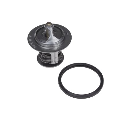 Blueprint Thermostat ADT39205