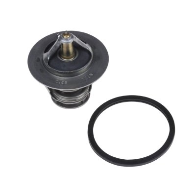 Blueprint Thermostat ADT39209
