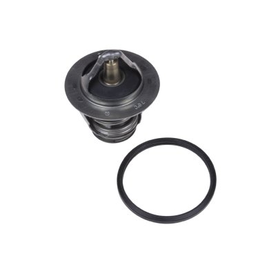 Blueprint Thermostat ADT39218