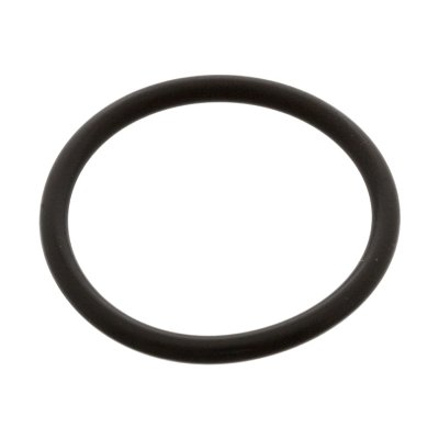 Febi Bilstein Sealing Ring 02200
