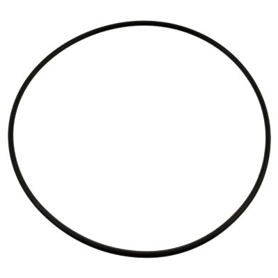 Febi Bilstein Sealing Ring 04273