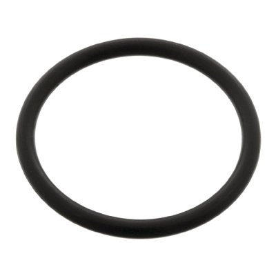 Febi Bilstein O-Ring 04955