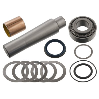 Febi Bilstein King Pin Set 05016