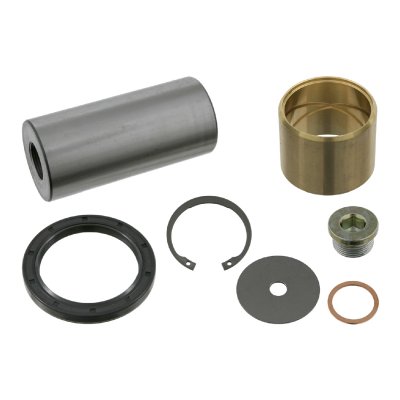 Febi Bilstein King Pin Set 05869