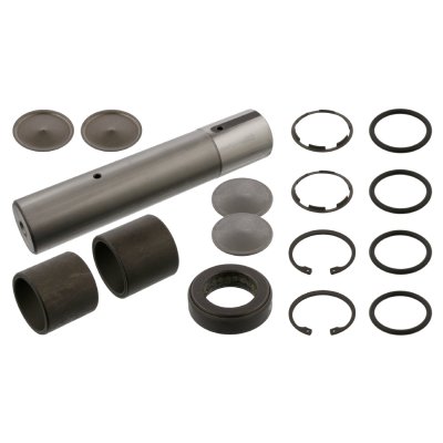 Febi Bilstein King Pin Set 05930