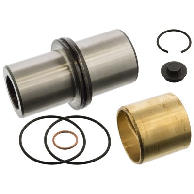 Febi Bilstein King Pin Set 06892