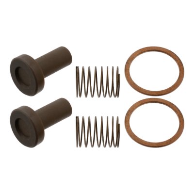 Febi Bilstein Valve Repair Kit 07879