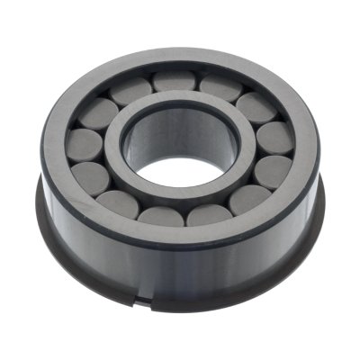 Febi Bilstein Needle Bearing 100673