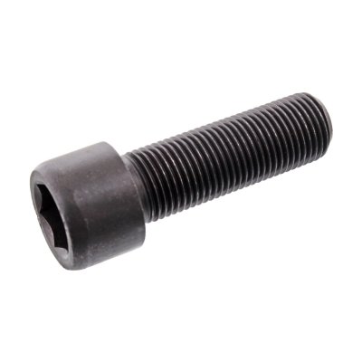 Febi Bilstein Cheese-Head Bolt 101975