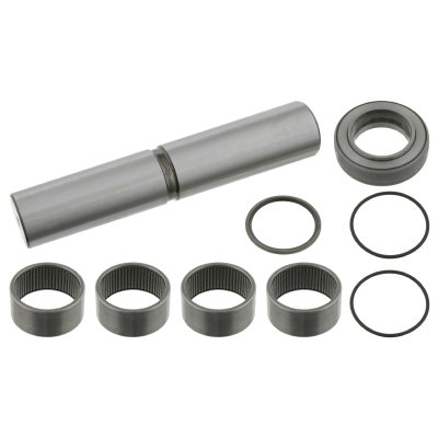 Febi Bilstein King Pin Set 11480