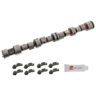 Febi Bilstein Camshaft Kit 12242