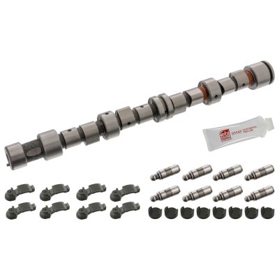 Febi Bilstein Camshaft Kit 12243