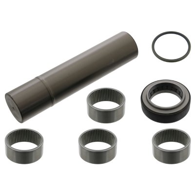 Febi Bilstein King Pin Set 15865