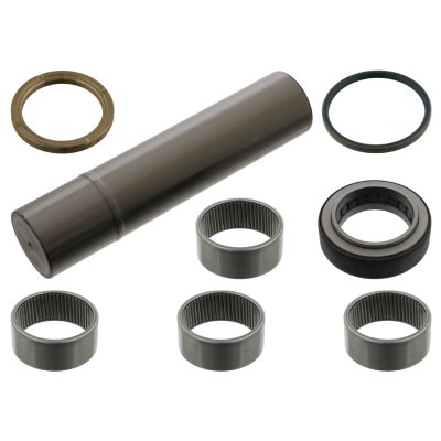 Febi Bilstein King Pin Set 15897