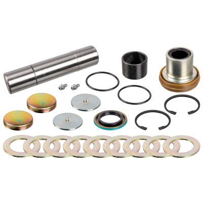 Febi Bilstein King Pin Set 170122