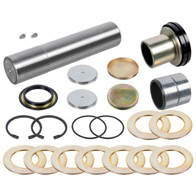 Febi Bilstein King Pin Set 171302