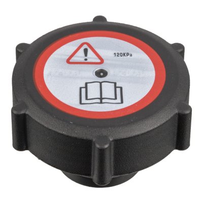 Febi Bilstein Cap 172489