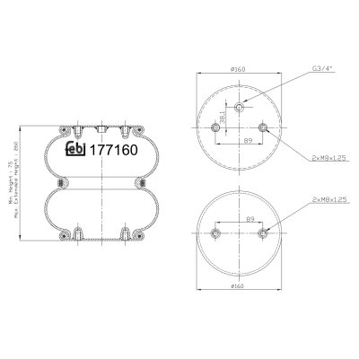 Febi Bilstein Air Spring 177160