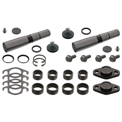 Febi Bilstein King Pin Set 18418