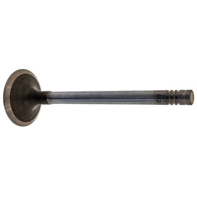 Febi Bilstein Inlet Valve 19302