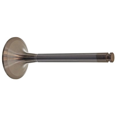 Febi Bilstein Inlet Valve 19566
