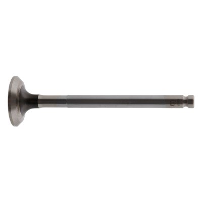 Febi Bilstein Exhaust Valve 19891