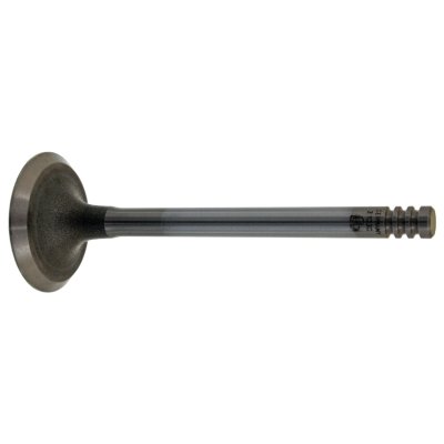 Febi Bilstein Inlet Valve 21030