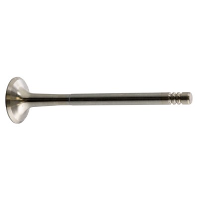 Febi Bilstein Exhaust Valve 22061