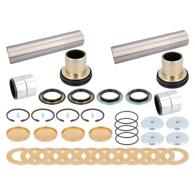 Febi Bilstein King Pin Set 24670